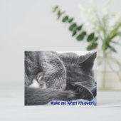 巻き上げ子猫葉書 ポストカード (スタンド正面)