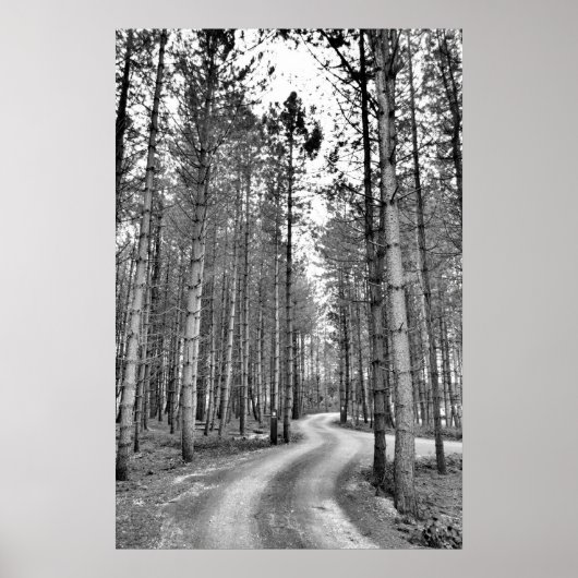 巻き上げ経路 ポスター (正面)