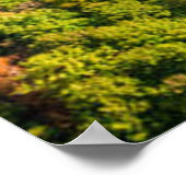 巻き川の空中眺めサニー秋の森 ポスター (角)