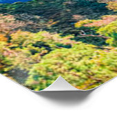 巻き川の空中眺めサニー秋の森 ポスター (コーナー)