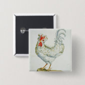 巻き毛のCockerel、c.1767-76 (手によって着色されるen 缶バッジ (正面&裏面)