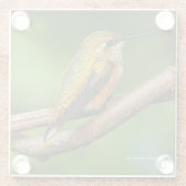 巻き素晴らしつる植物にハチドリ ガラスコースター (裏面)