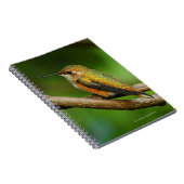 巻き素晴らしつる植物にハチドリ ノートブック (右側)