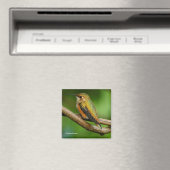 巻き素晴らしつる植物にハチドリ マグネット (インサイチュ (食洗機))