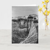 巻上げ砂丘塀 カード (黄色い花)