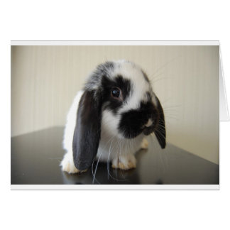 市のためのエプロン