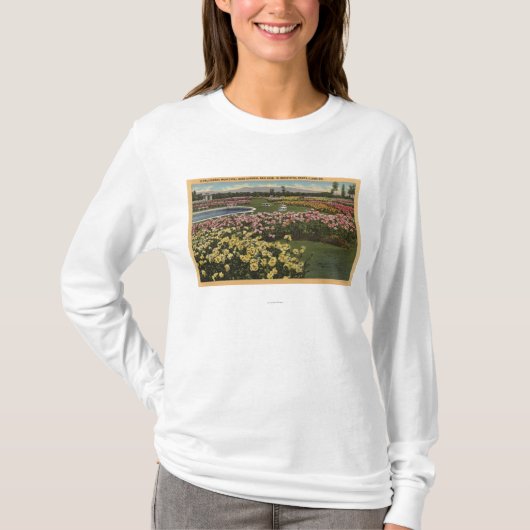 市バラ園の眺め Tシャツ (正面)