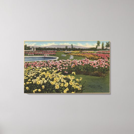 市営バラ園 キャンバスプリント (正面)