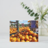 市場のカボチャ ポストカード (スタンド正面)