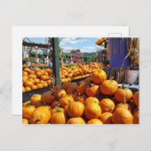 市場のカボチャ ポストカード (正面/裏面)