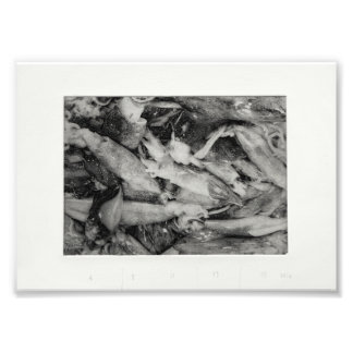 市場の監視 フォトプリント           