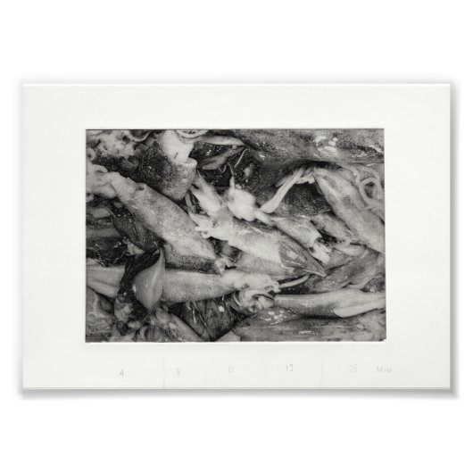 市場の監視 フォトプリント            (正面)