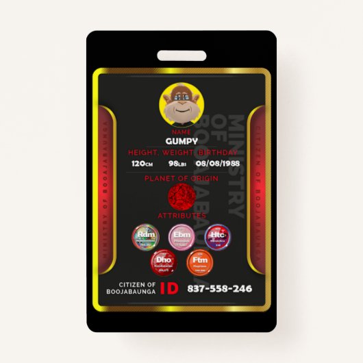 市民バッジ  バッジ (正面)