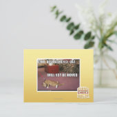 市民不服従猫 ポストカード (スタンド正面)