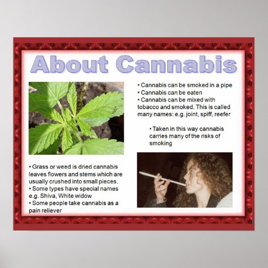 市民権は、人生のスキルは単にノーと言う! ポスター (正面)