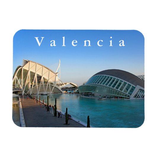 市立芸術科学。 マグネット (横)