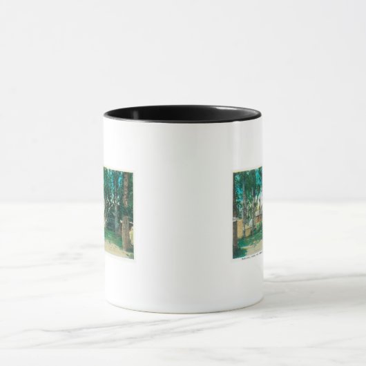 市立観光客パークアイダホ滝IDの表示 マグカップ (中央)