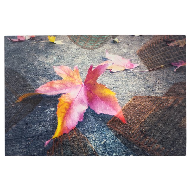 市落ちた離れ市 メタルプリント (正面)