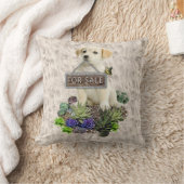 市販の多肉類 クッション (ブランケット)