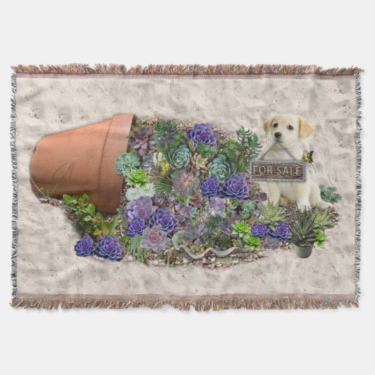 市販の多肉類 スローブランケット (正面)