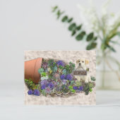 市販の多肉類 ポストカード (スタンド正面)