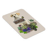 市販の多肉類 マグネット (右側)