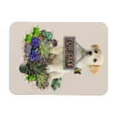 市販の多肉類 マグネット (横)