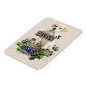 市販の多肉類 マグネット (左側)