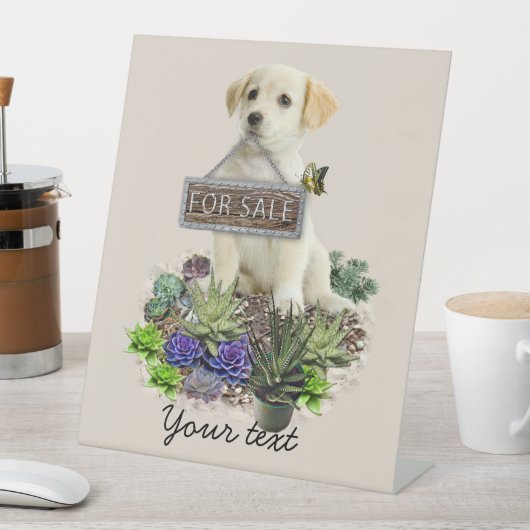 市販の多肉類 台座サイン (インサイチュ)