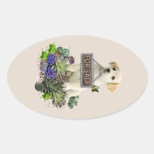 市販の多肉類 楕円形シール (正面)