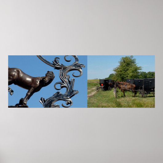 市馬、カントリーウマ ポスター (正面)