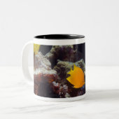 布告者のangelfish (Centropygeのheraldi)の水泳 ツートーンマグカップ (正面左)