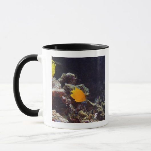 布告者のangelfish (Centropygeのheraldi)の水泳 マグカップ (左)