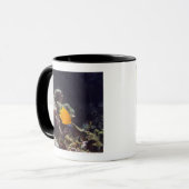 布告者のangelfish (Centropygeのheraldi)の水泳 マグカップ (正面左)
