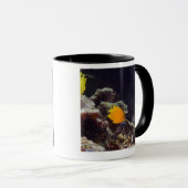 布告者のangelfish (Centropygeのheraldi)の水泳 マグカップ (正面右)