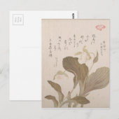 布袋の花 – 久保春満日本の(Kobo Shunman) ポストカード (正面/裏面)