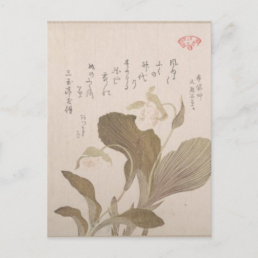 布袋の花 – 久保春満日本の(Kobo Shunman) ポストカード (正面)