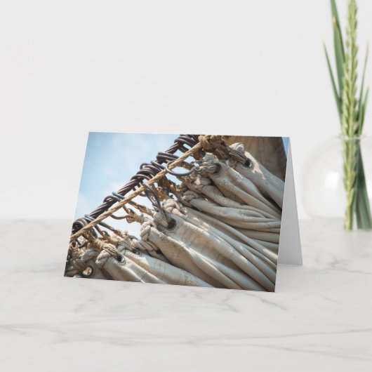 帆の折目 カード (正面)