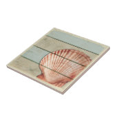 帆立貝貝 タイル (側面)