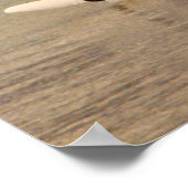 帆船カタマラン ポスター (角)