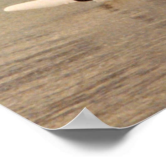 帆船カタマラン ポスター (角)