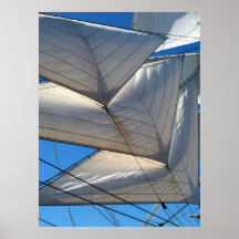 帆船セイルズポスター