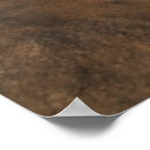 帆船及び貝殻 |モザンビーク、ベンゲラロッジ ポスター (角)