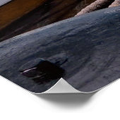 帆船 ポスター (角)