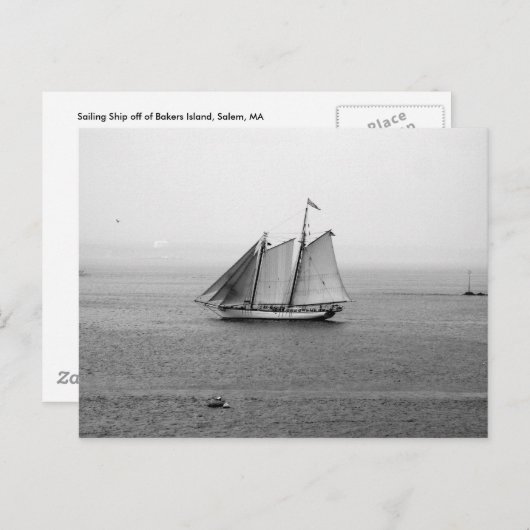 帆船 ポストカード (正面/裏面)
