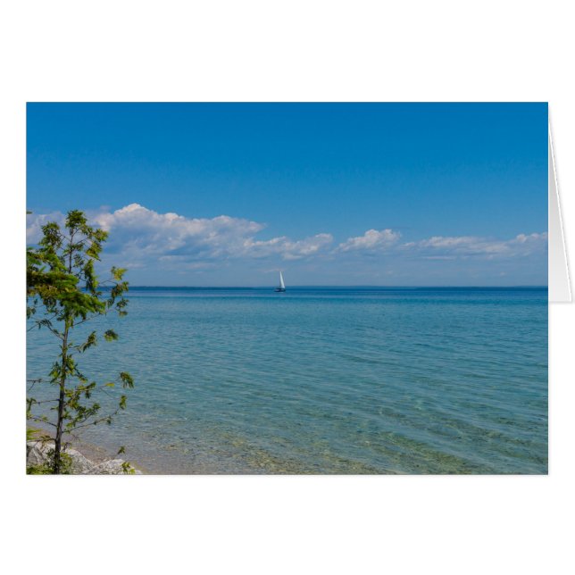 帆遠くに (正面横)