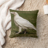 希少な白いカラスの野生生物写真 クッション (ブランケット)