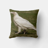 希少な白いカラスの野生生物写真 クッション (裏面)