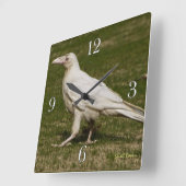 希少な白いカラスの野生生物写真 スクエア壁時計 (傾斜)