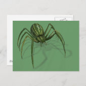 希少スイカクモ ポストカード (正面/裏面)